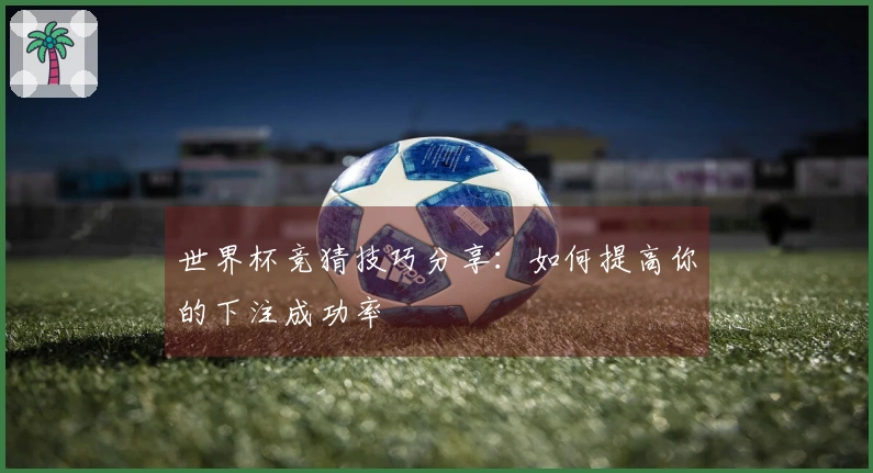 世界杯竞猜技巧分享：如何提高你的下注成功率