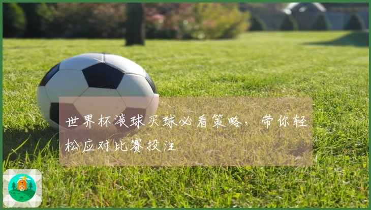世界杯滚球买球必看策略，带你轻松应对比赛投注