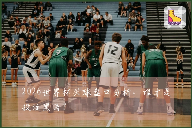 2026世界杯买球盘口分析，谁才是投注黑马？