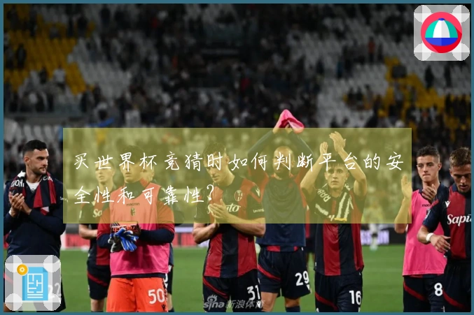 买世界杯竞猜时如何判断平台的安全性和可靠性？