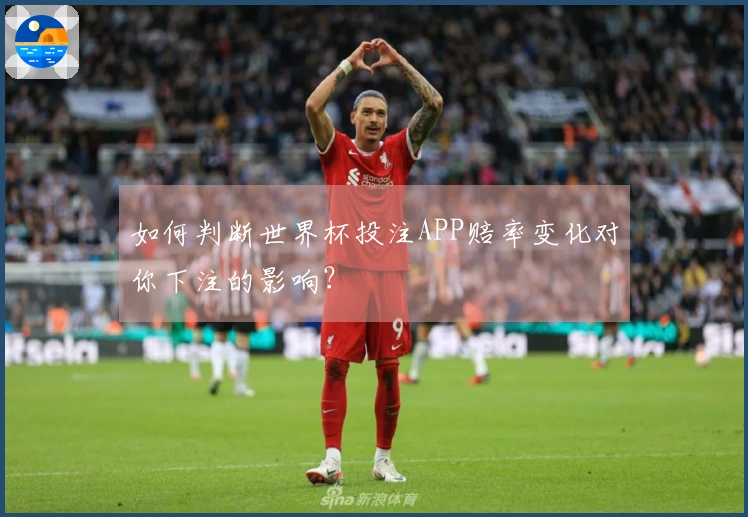如何判断世界杯投注APP赔率变化对你下注的影响？