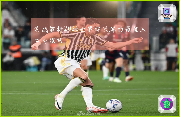 实战解析2026世界杯买球的最佳入口与技巧