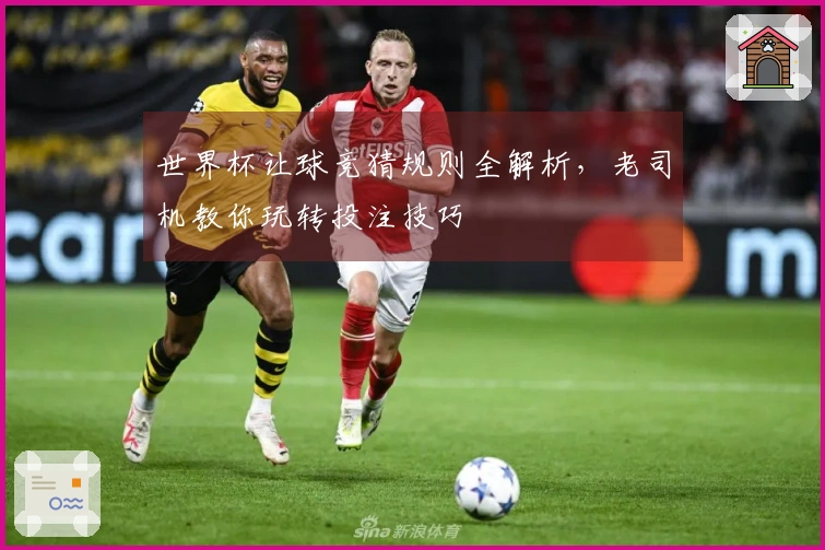 世界杯让球竞猜规则全解析，老司机教你玩转投注技巧
