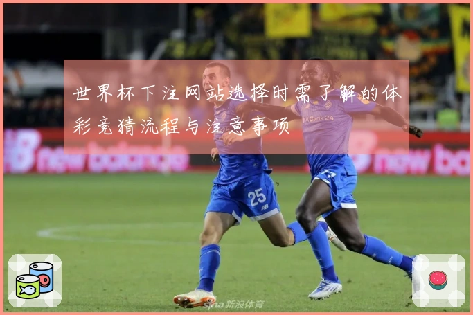 世界杯下注网站选择时需了解的体彩竞猜流程与注意事项