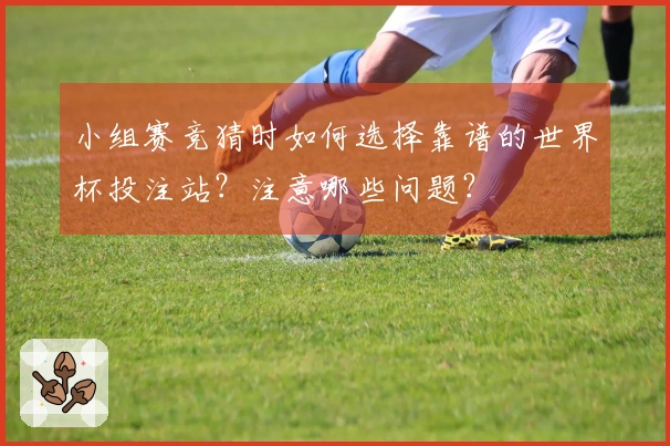 小组赛竞猜时如何选择靠谱的世界杯投注站？注意哪些问题？