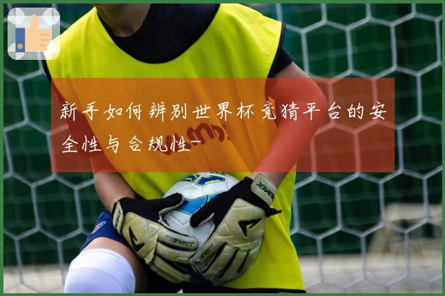新手如何辨别世界杯竞猜平台的安全性与合规性-