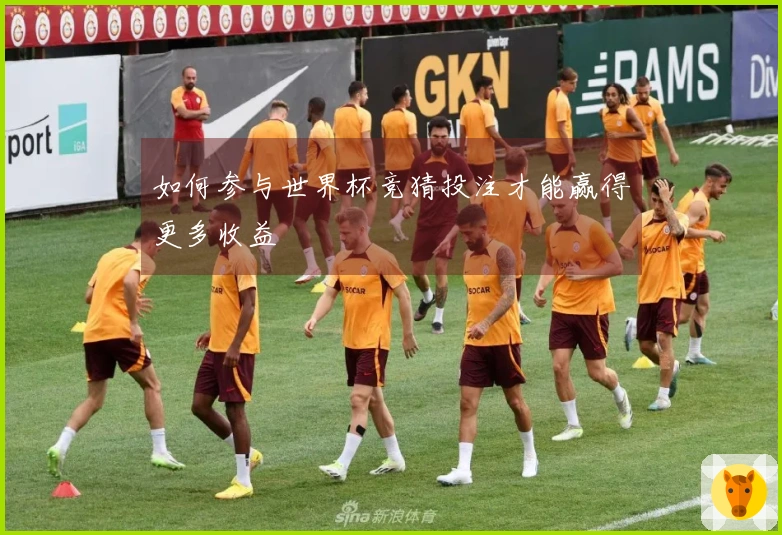 如何参与世界杯竞猜投注才能赢得更多收益