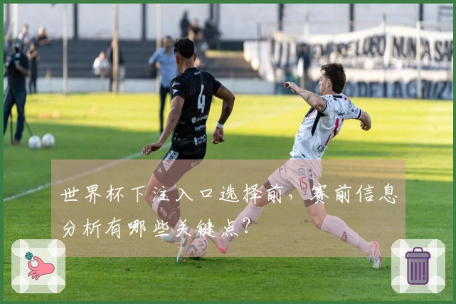 世界杯下注入口选择前，赛前信息分析有哪些关键点？