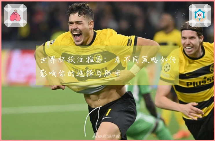 世界杯投注推荐：看不同策略如何影响你的选择与胜率