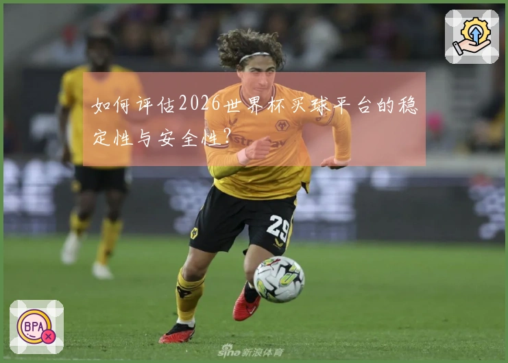 如何评估2026世界杯买球平台的稳定性与安全性？