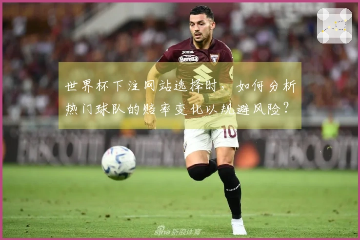世界杯下注网站选择时，如何分析热门球队的赔率变化以规避风险？