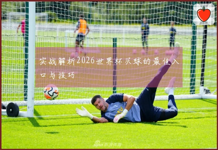 实战解析2026世界杯买球的最佳入口与技巧