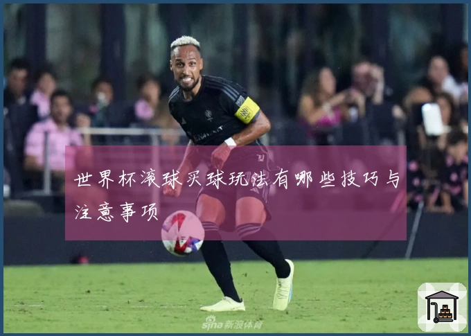 世界杯滚球买球玩法有哪些技巧与注意事项