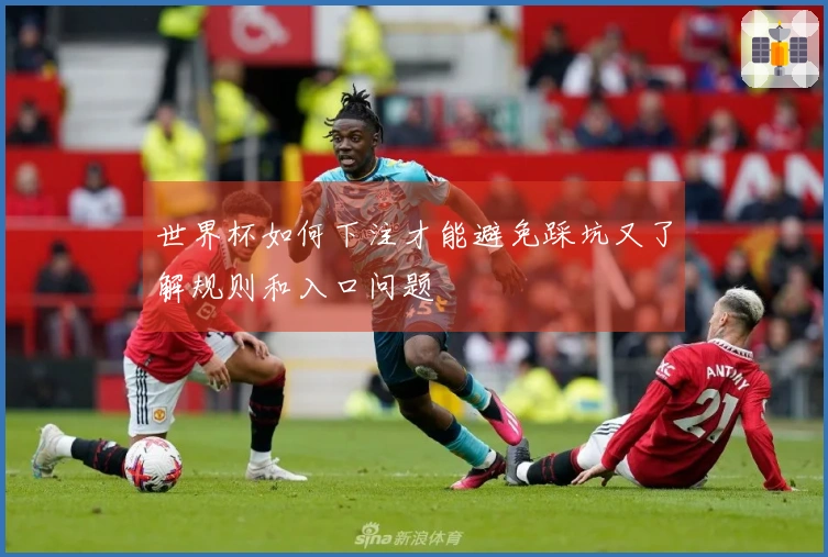 世界杯如何下注才能避免踩坑又了解规则和入口问题