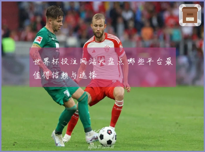 世界杯投注网站大盘点 哪些平台最值得信赖与选择