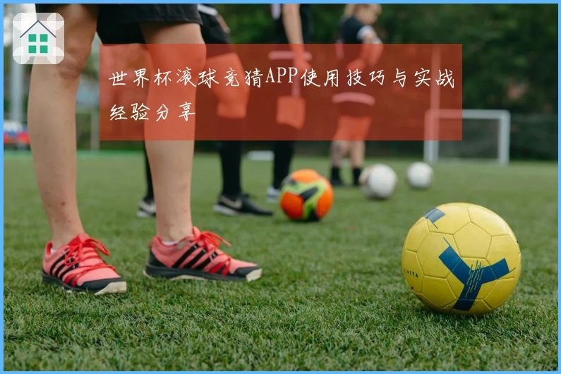 世界杯滚球竞猜APP使用技巧与实战经验分享