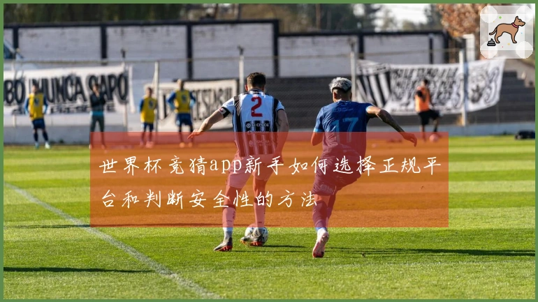 世界杯竞猜app新手如何选择正规平台和判断安全性的方法