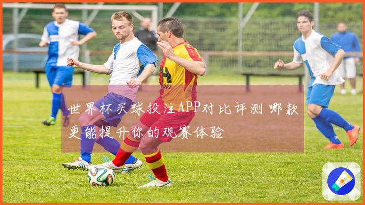 世界杯买球投注APP对比评测 哪款更能提升你的观赛体验