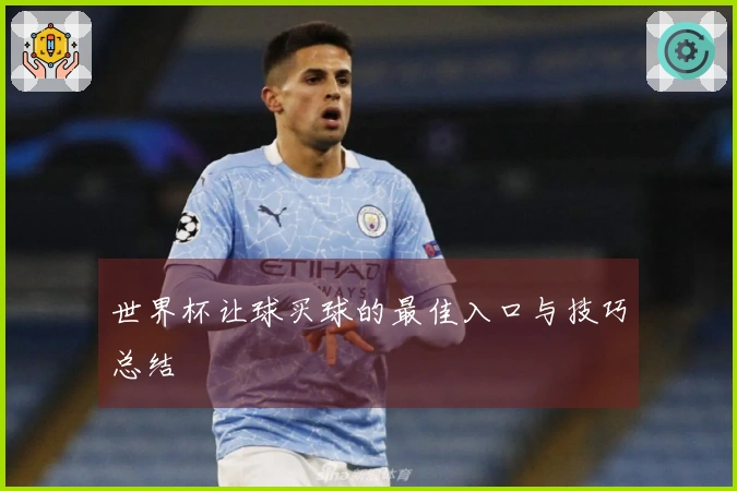 世界杯让球买球的最佳入口与技巧总结