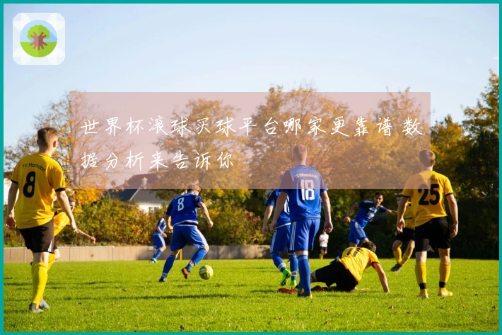 世界杯滚球买球平台哪家更靠谱 数据分析来告诉你