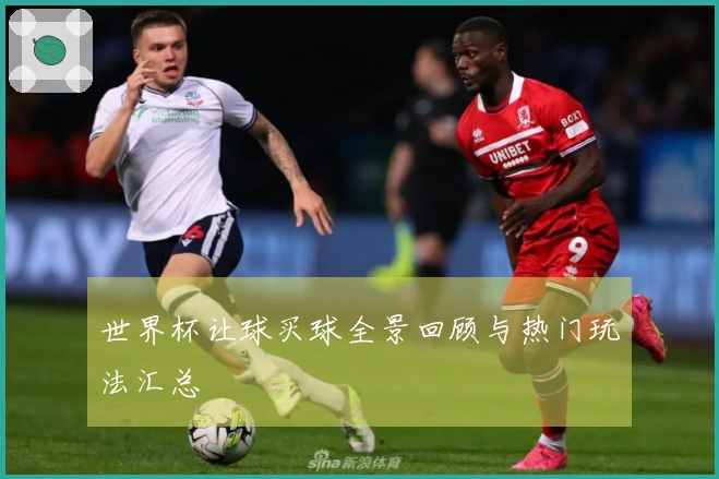 世界杯让球买球全景回顾与热门玩法汇总