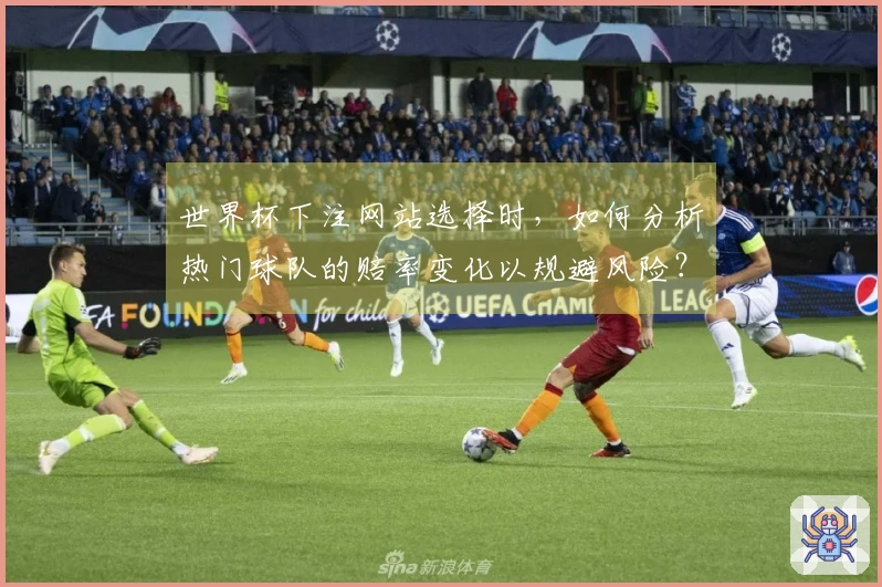 世界杯下注网站选择时，如何分析热门球队的赔率变化以规避风险？