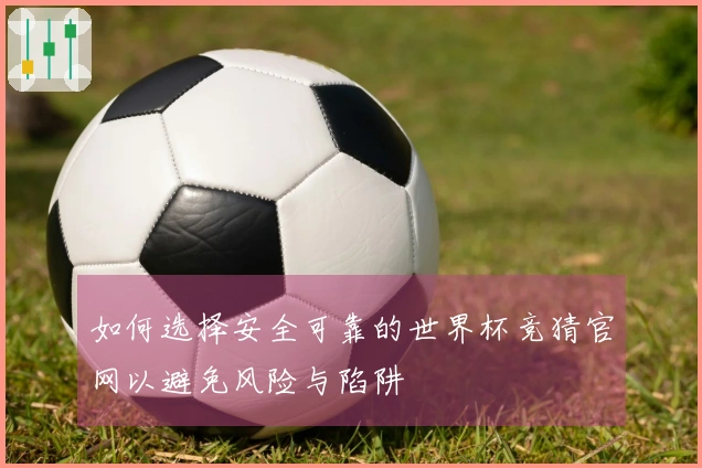 如何选择安全可靠的世界杯竞猜官网以避免风险与陷阱