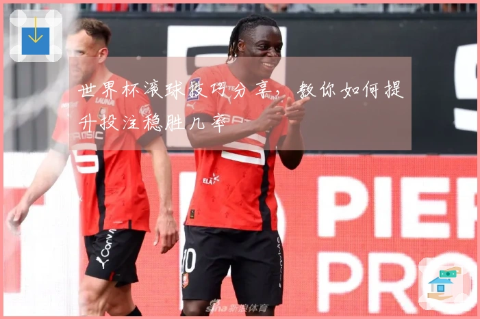 世界杯滚球技巧分享，教你如何提升投注稳胜几率