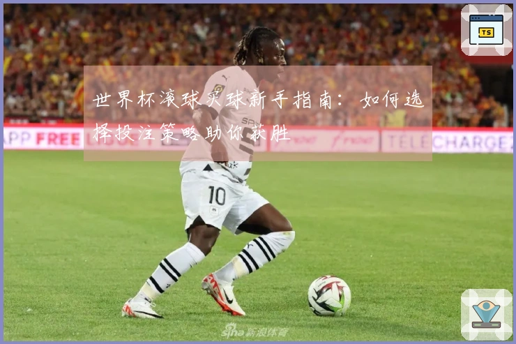 世界杯滚球买球新手指南：如何选择投注策略助你获胜