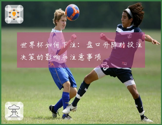 世界杯如何下注：盘口升降对投注决策的影响和注意事项
