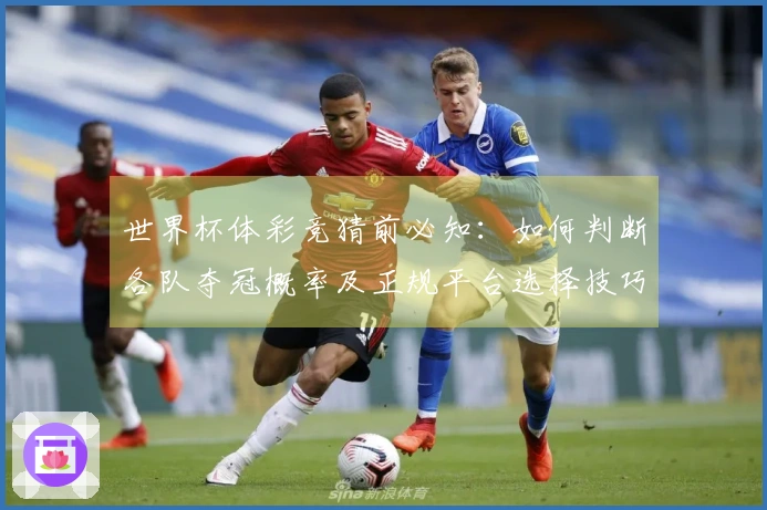 世界杯体彩竞猜前必知：如何判断各队夺冠概率及正规平台选择技巧