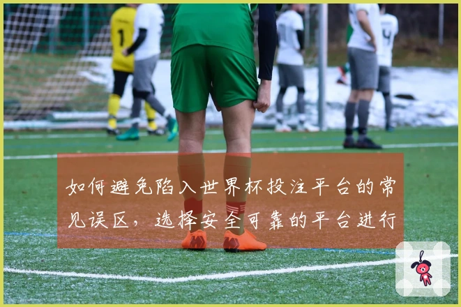 如何避免陷入世界杯投注平台的常见误区，选择安全可靠的平台进行投注